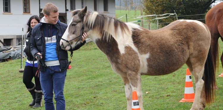 Le cheval connaît le chemin… il vous guidera vers le vôtre